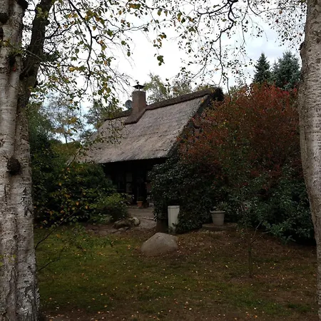 Oak-tree-cottage
