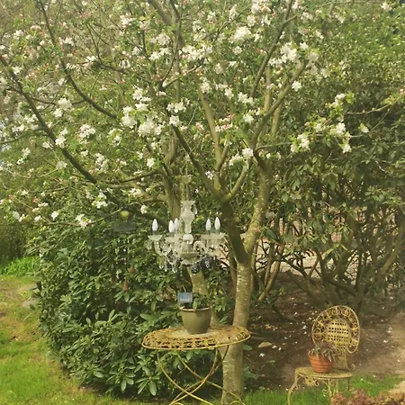 Oak-tree-cottage Beverstedt