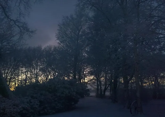 Oak-tree-cottage Σπίτι διακοπών *