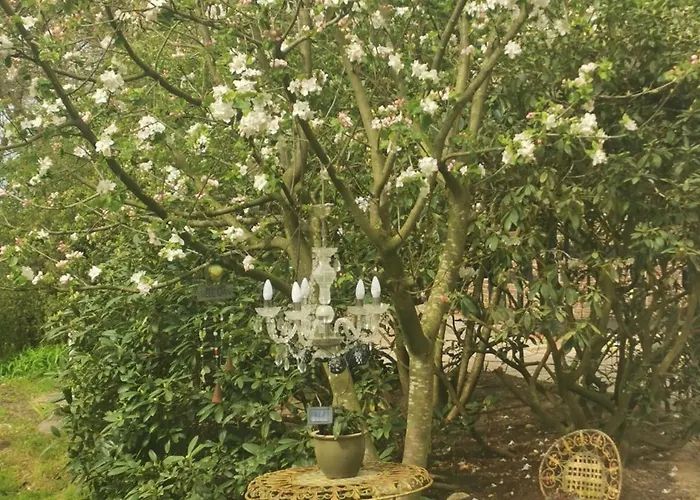 Oak-tree-cottage Beverstedt