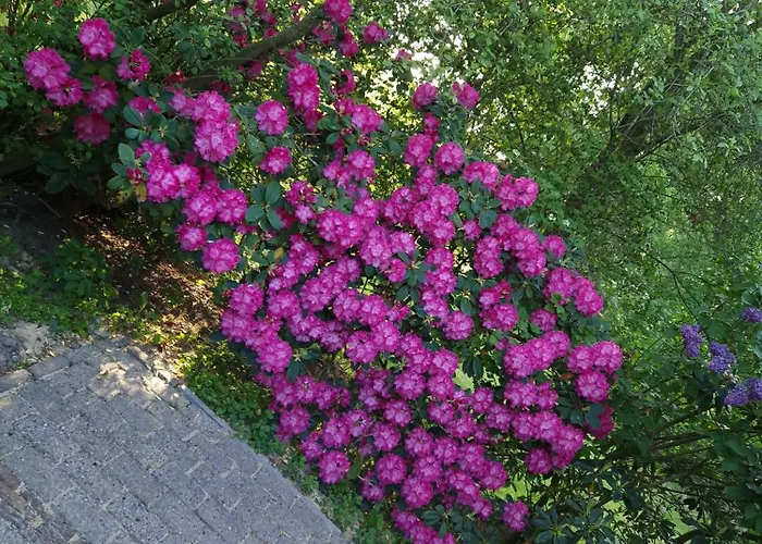 Σπίτι διακοπών Oak-tree-cottage